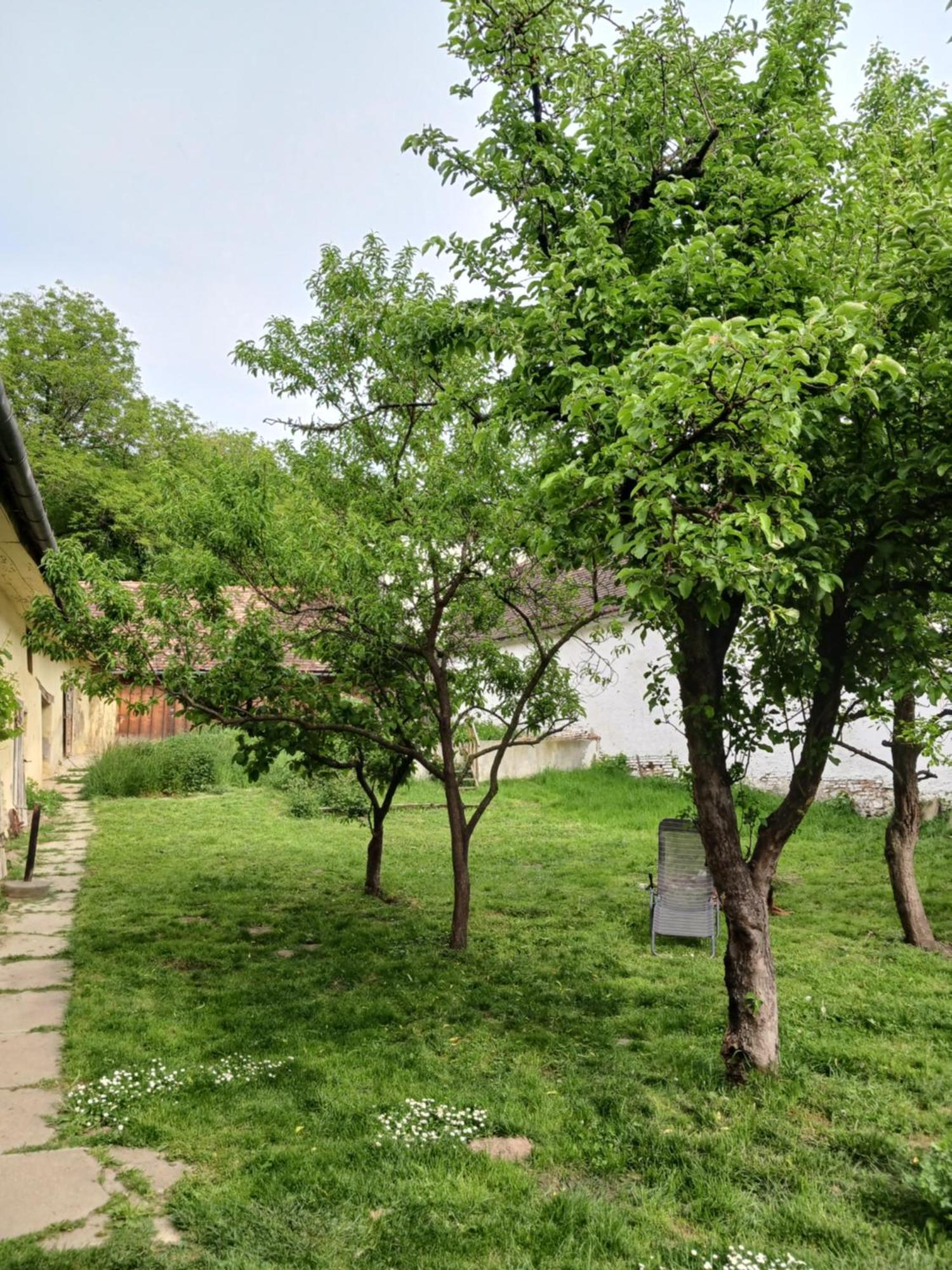 Casa Arthur Richis Richisu Eksteriør billede